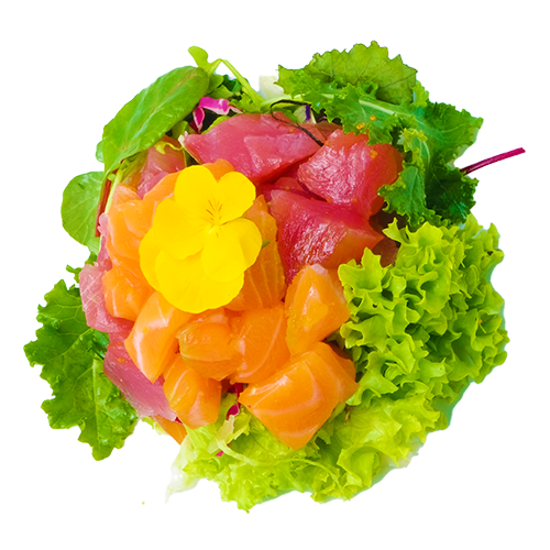 Zalm-tonijn mix salade